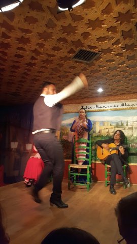 564 granada flamenco show